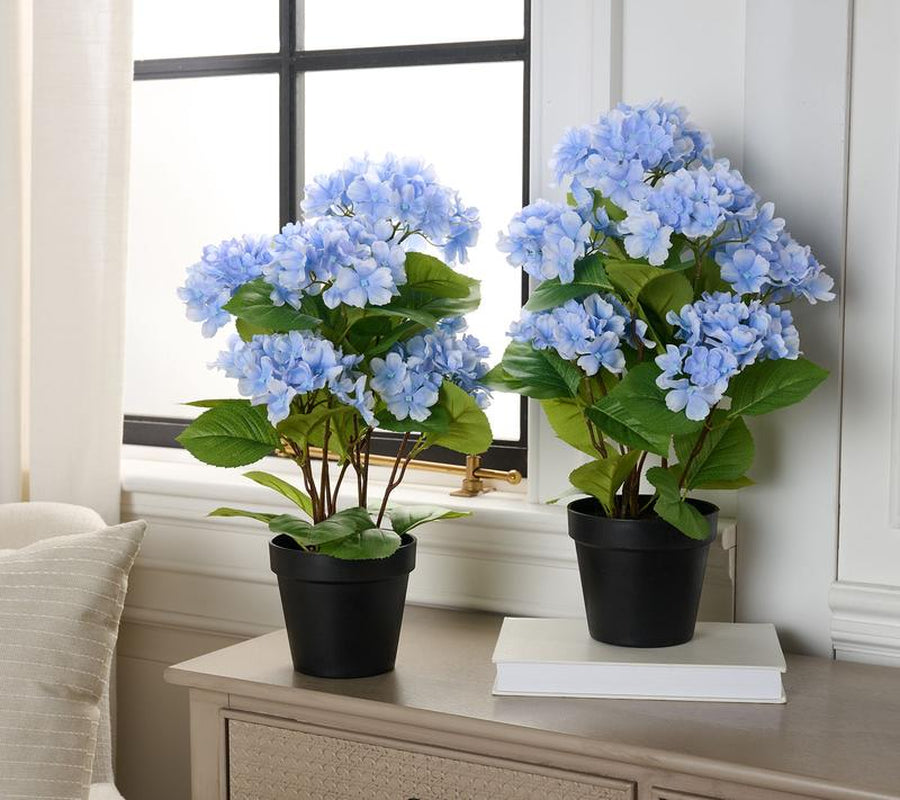 Set of 2 18" Hydrangea Potted Plants
