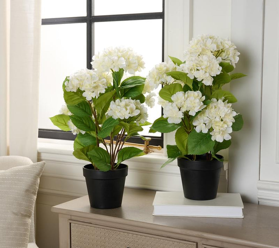 Set of 2 18" Hydrangea Potted Plants
