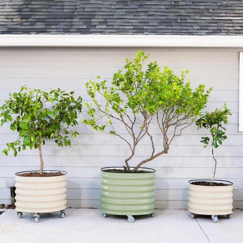 Vego Garden 20 Gallon Rolling Planter Metal Citrus Tree Planter with Wheels for Patio, Porch & Backyard