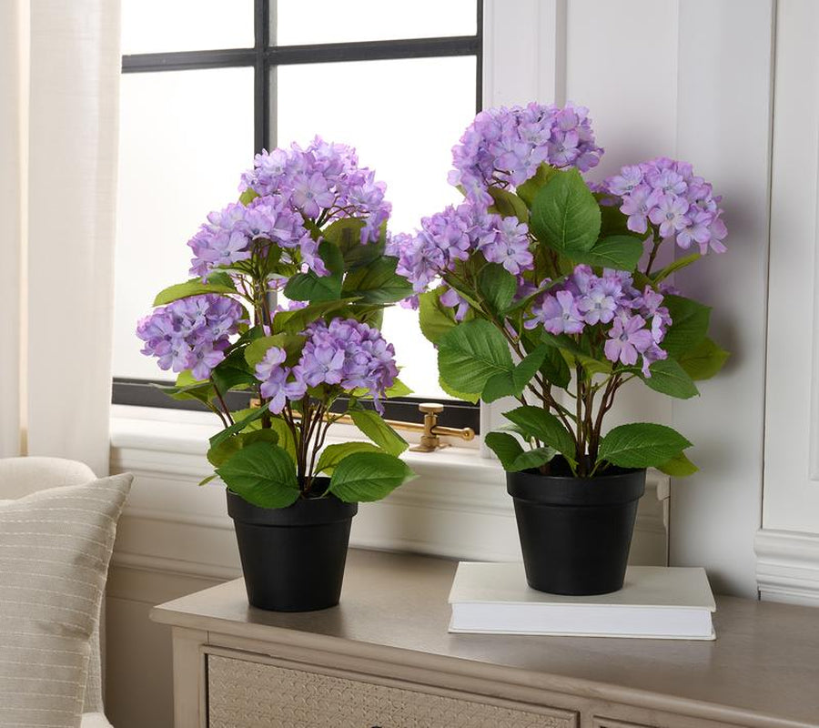 Set of 2 18" Hydrangea Potted Plants